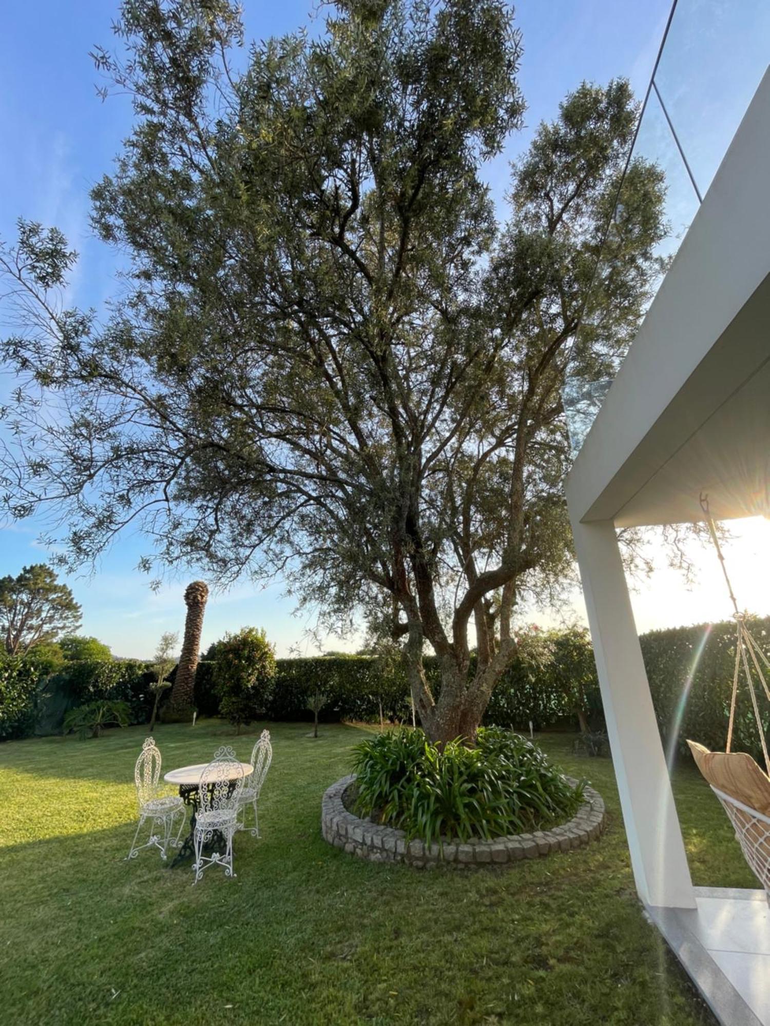 Fonte Do Forno Villas アフィフェ エクステリア 写真